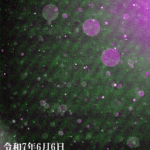Thumbnail of post image 091